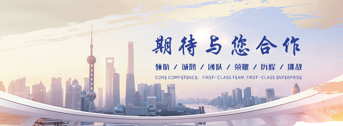 德阳海狮租赁公司